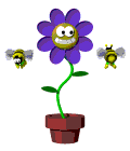 blume :blumenbiene: